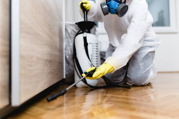 Best Best Pest Control Companies  in Calverton, NY