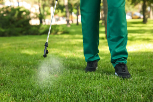 Best Flea Control Services  in Calverton, NY