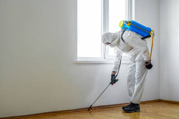 Best Residential Pest Control  in Calverton, NY