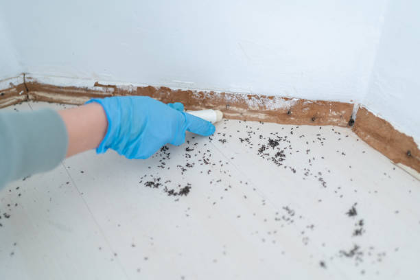 Best Wildlife Control Services  in Calverton, NY