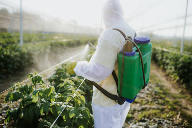 Pest Control Cost in Calverton, NY